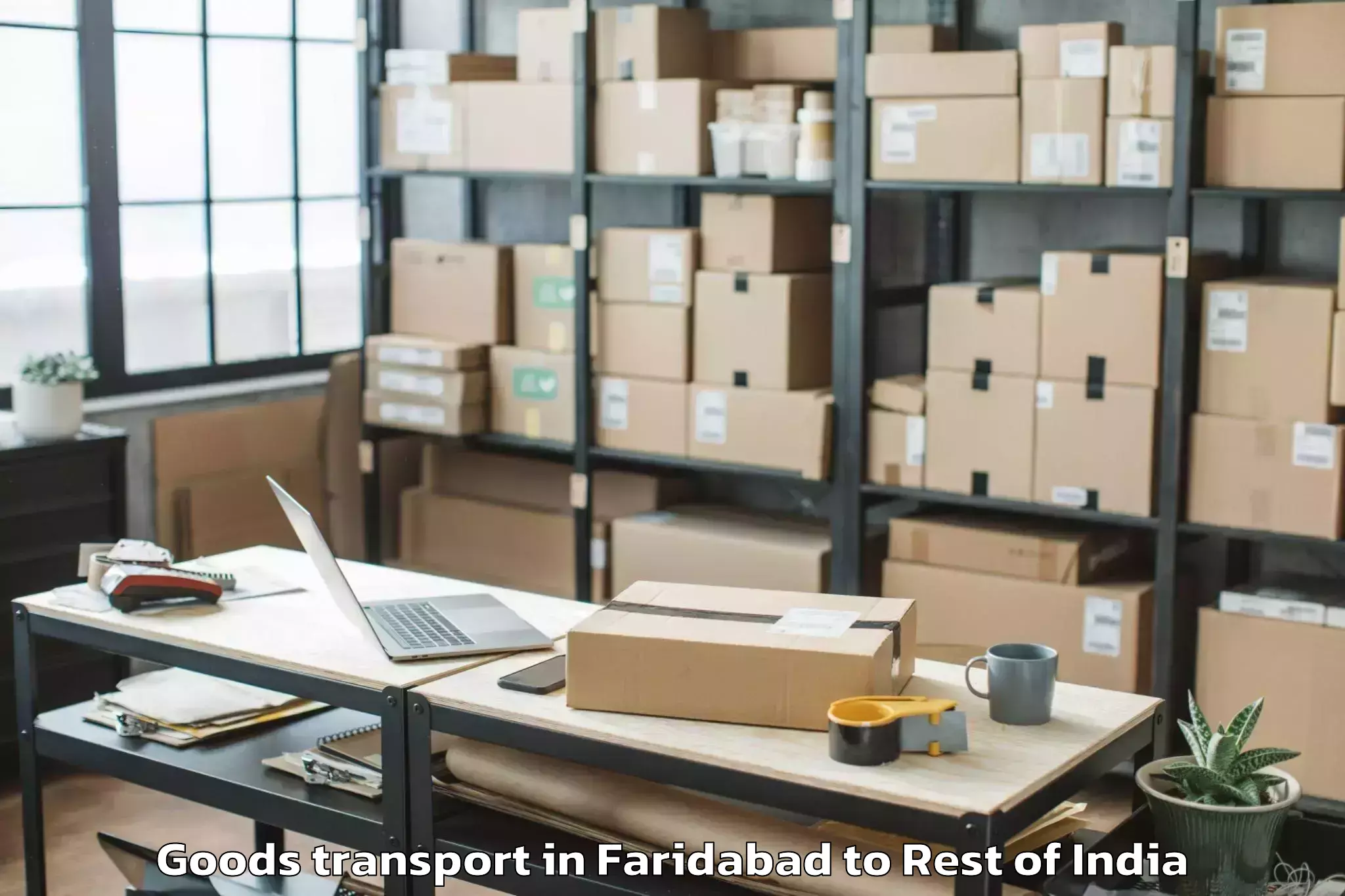 Leading Faridabad to Peddakothapally Goods Transport Provider